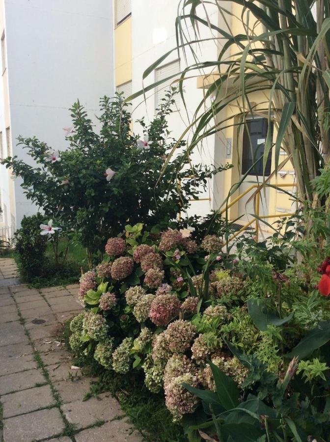 Jardim Das Flores District de District de Faro Extérieur photo